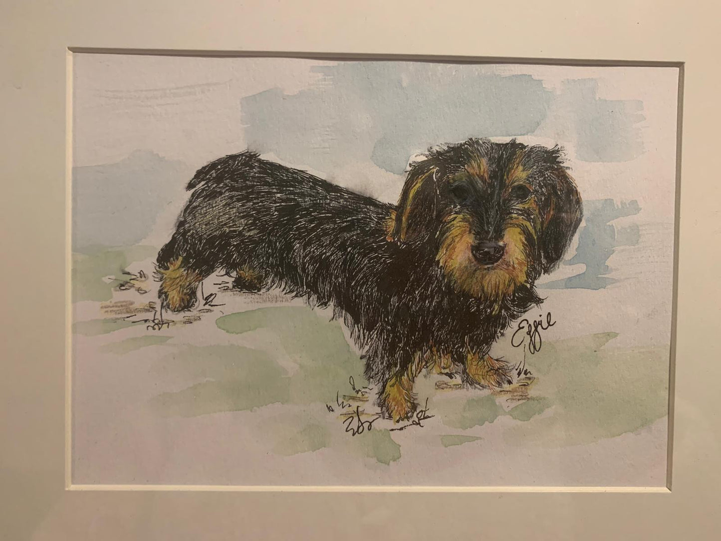 Hand Drawn Pet Portrait (Original Artwork)