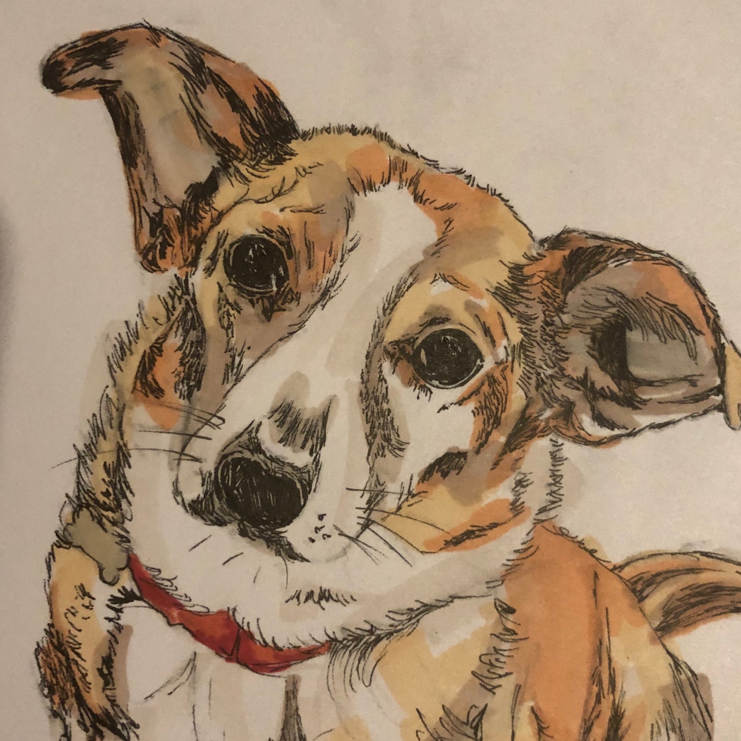 Hand Drawn Pet Portrait (Original Artwork)