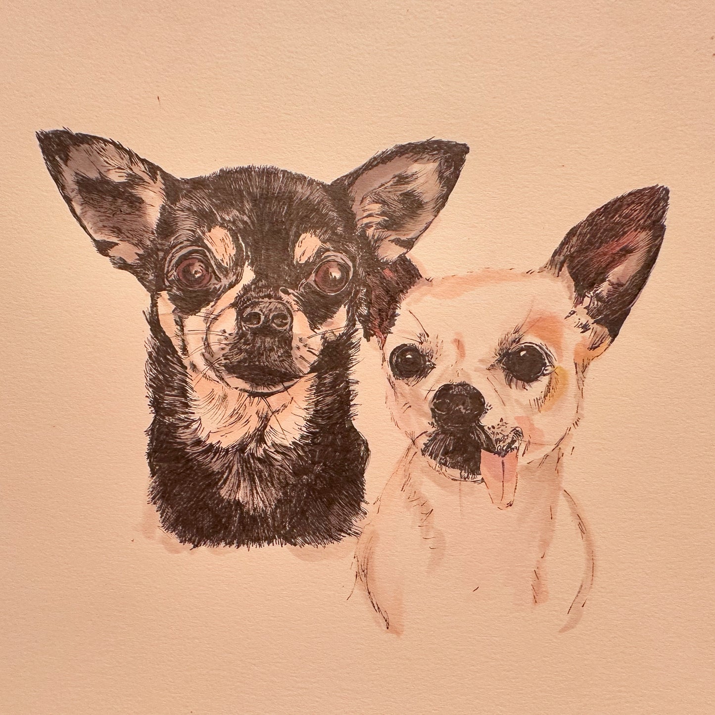 Hand Drawn Pet Portrait (Original Artwork)