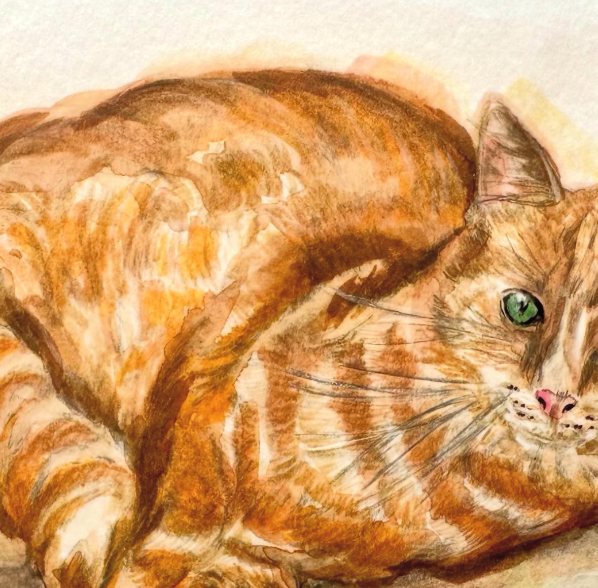 Hand Drawn Cat Portrait Christmas Gift (Original Artwork)