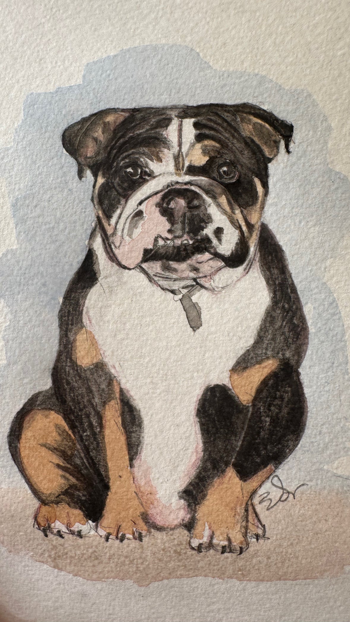 Hand Drawn Pet Portrait (Original Artwork)