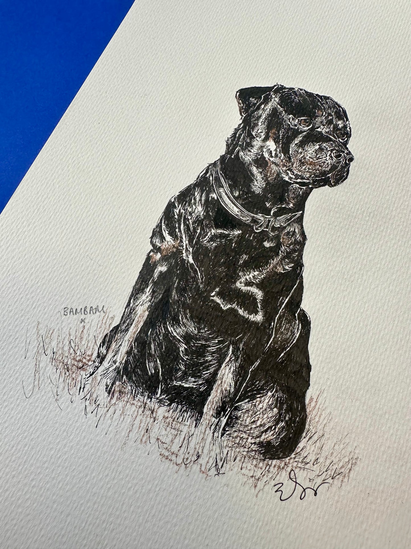 Hand Drawn Pet Portrait (Original Artwork)