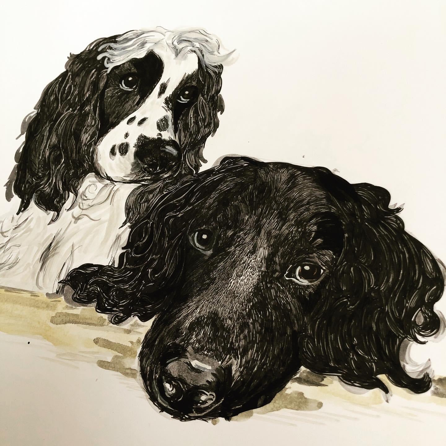 Pet Portraits