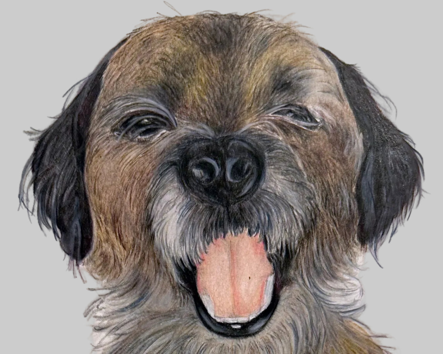 Pet Illustration - Hand Painted Portrait
