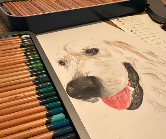 Pet Illustration
